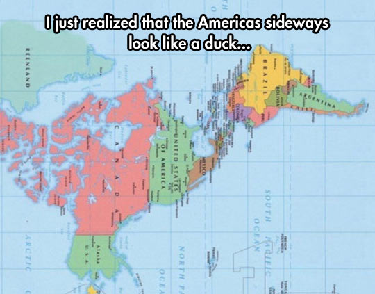 America, duck yeah!