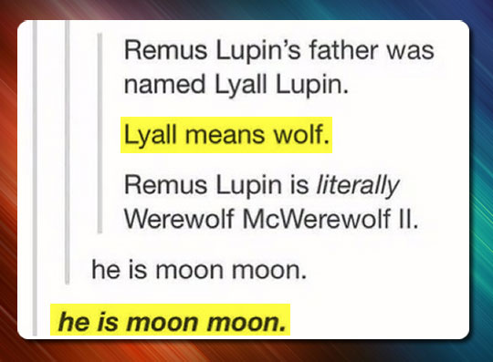 funny-Harry-Potter-Lupin-wolf-moon