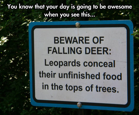 Beware of awesome…