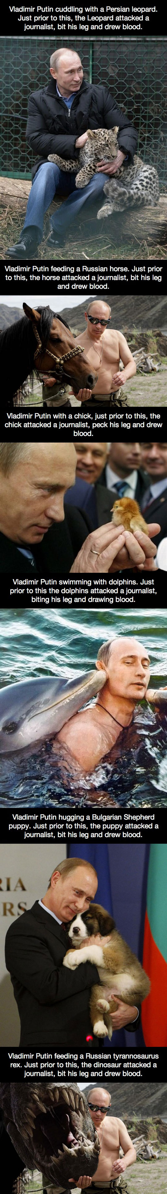 funny-Putin-Russia-leopard-blood-journalist