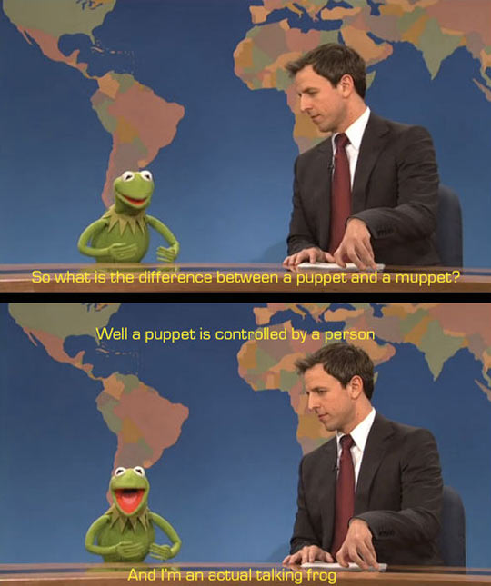 funny-SNL-Kermit-actual-talking-frog