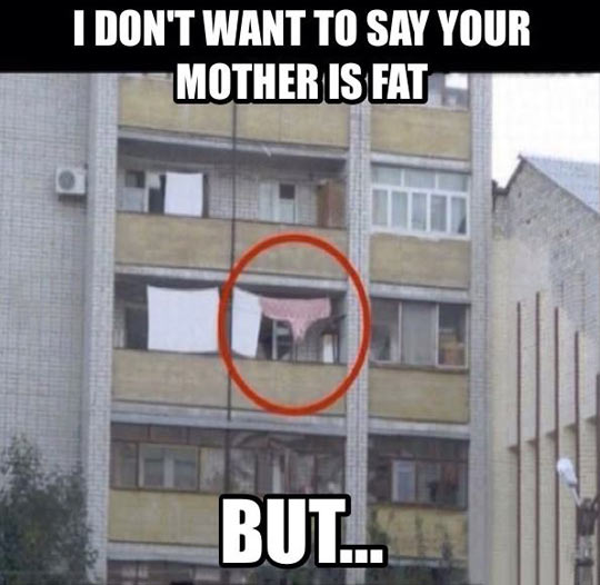 I don’t want to say your mother is fat…