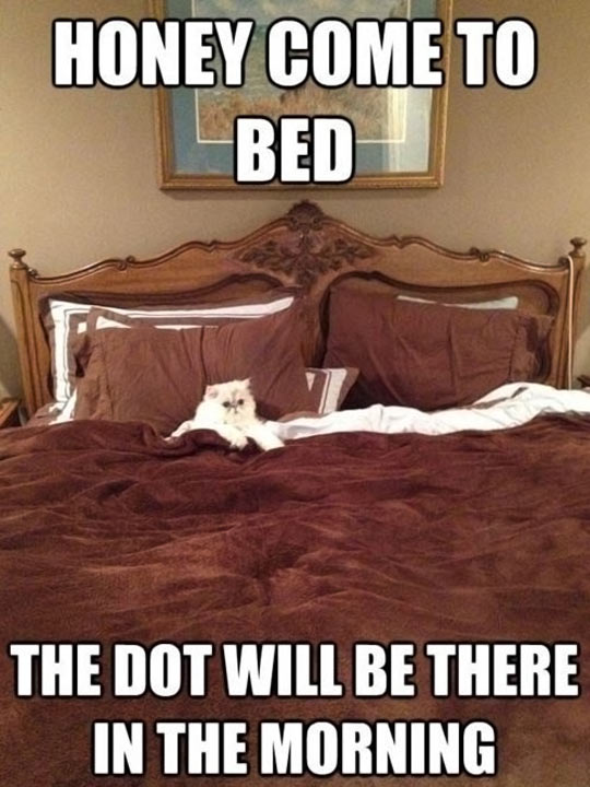 Come to bed, honey…