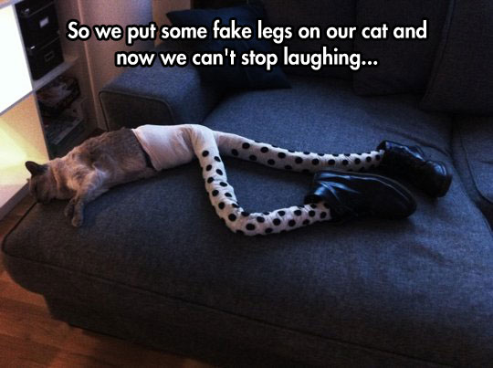 Kitty Long Stockings…
