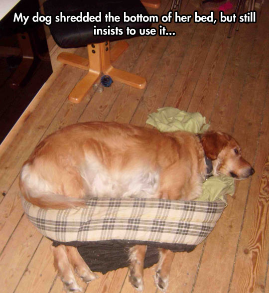 She has a wearable bed now…