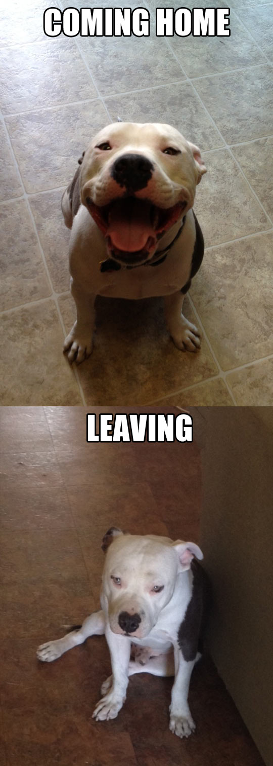 Coming home vs. leaving…