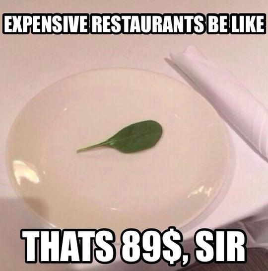 funny-expensive-restaurant-dinner-table