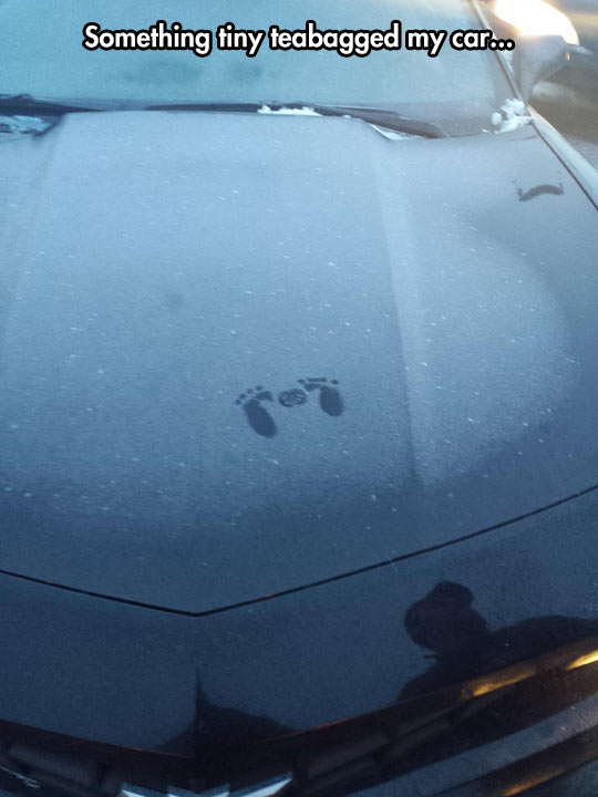 funny-foot-trace-car-mark-snow