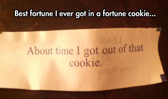 funny-fortune-cookie-paper-scape