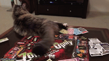 funny-gif-cat-kitten-angry-table-game