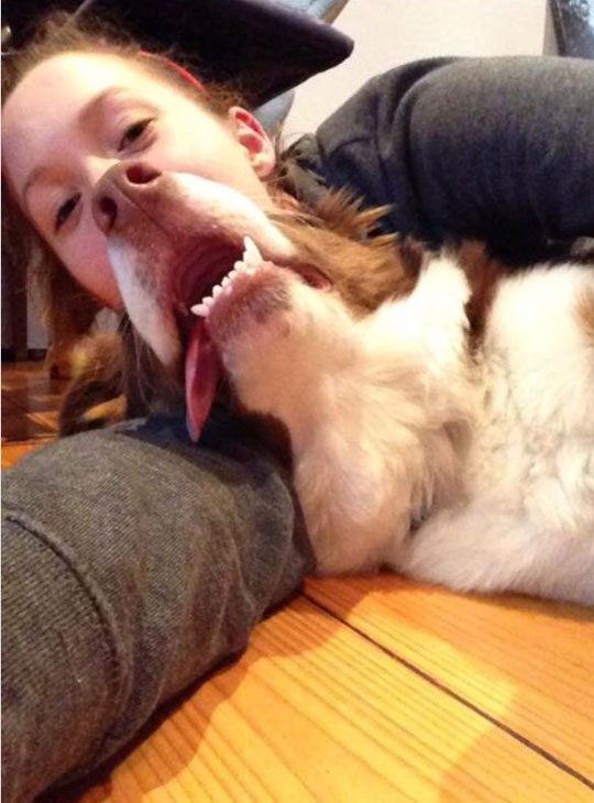 funny-girl-dog-face-hybrid