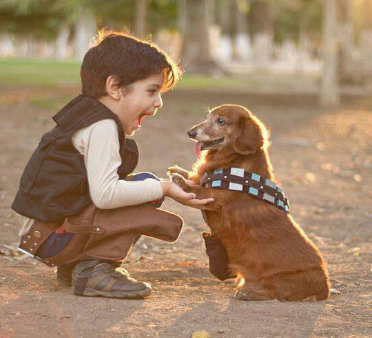 Little Han Solo and Chewie…
