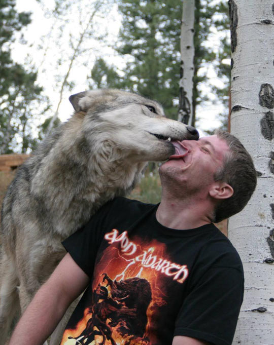 Wolves are just big puppies…