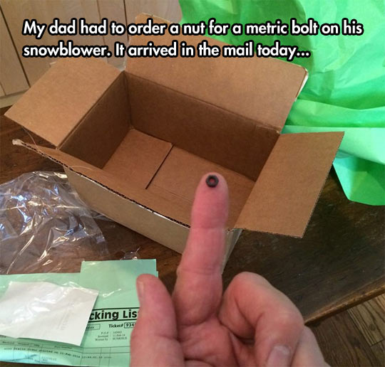 funny-nut-snowblower-packaging-mail