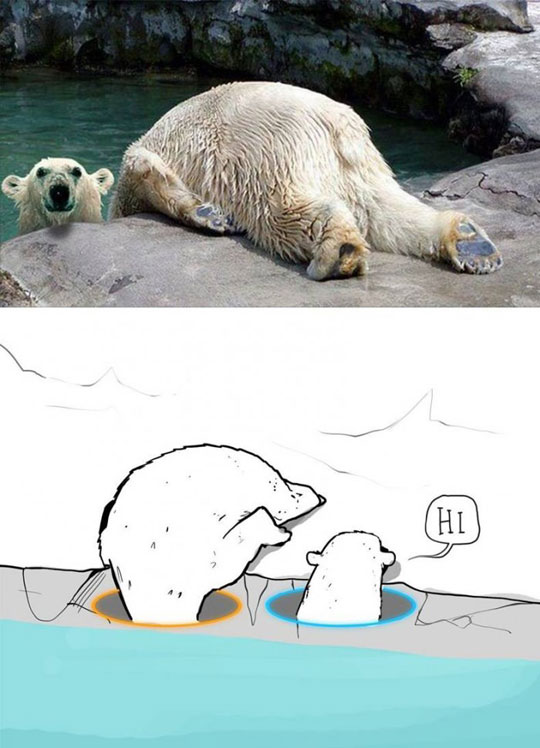 funny-polar-bear-Portal-cartoon