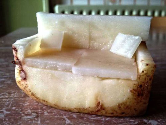 Couch potato…