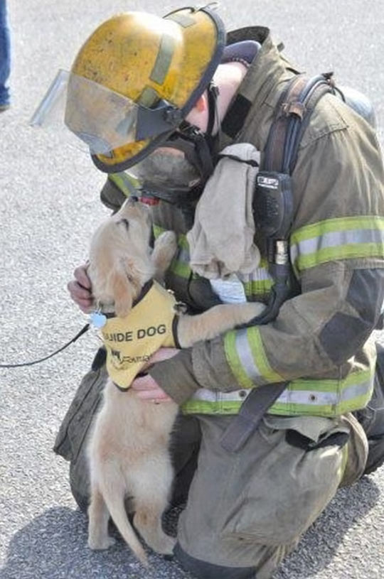 Service puppy meets firefighter…