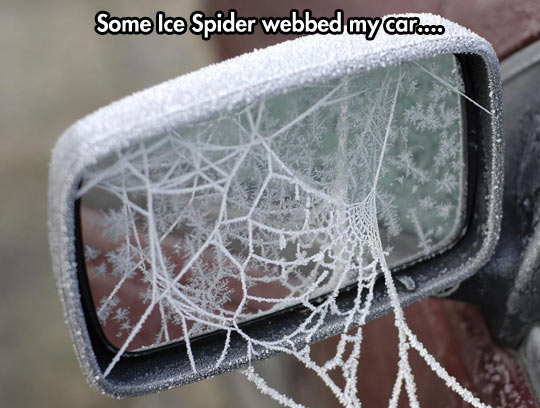 Frozen web…