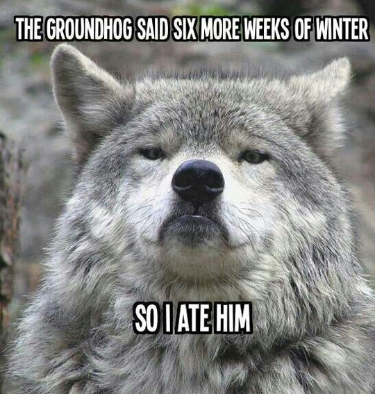 Scumbag groundhog…