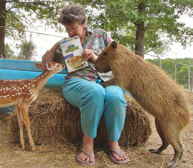 cool-animal-shelter-friendship-Rocky-Ridge-reading-book