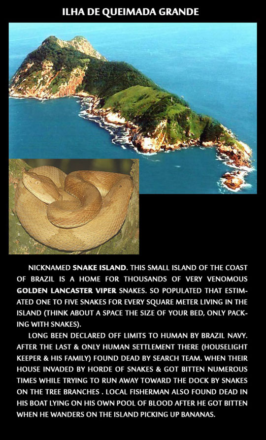 cool-island-Brazil-snakes-killers