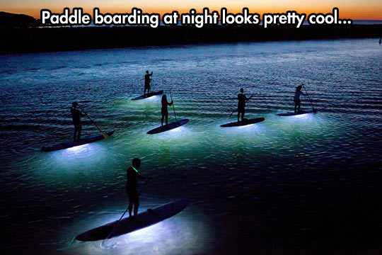 Paddle Boarding At Night