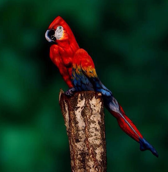 Woman Cleverly Painted To Look Like a Parrot