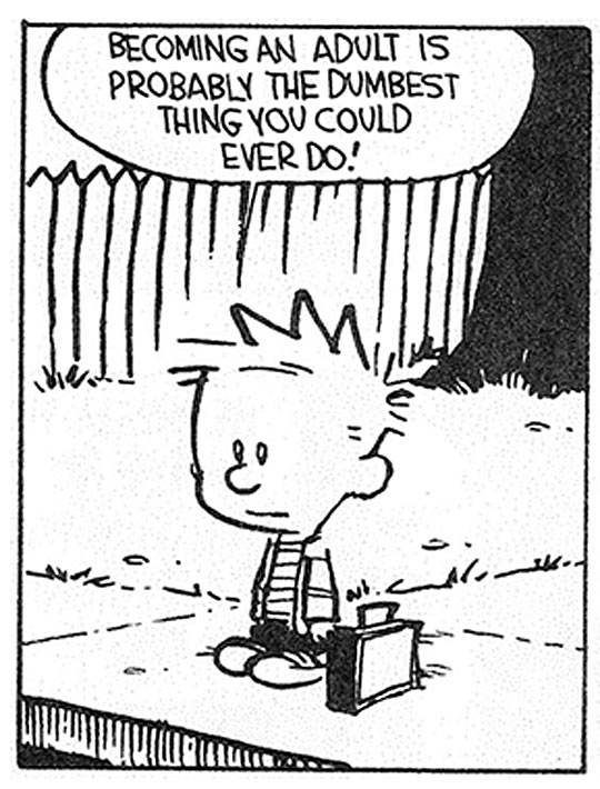 funny-Calvin-Hobbes-adult-comic