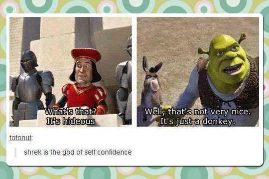 funny-Shrek-donkey-hideous-nice