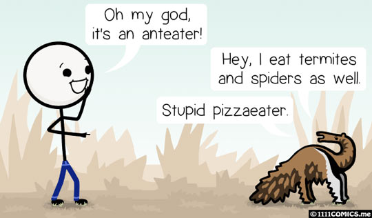 funny-anteater-termites-spiders-pizza