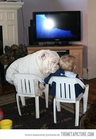 funny-big-dog-chair-child