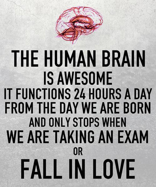 funny-brain-love-think-exam