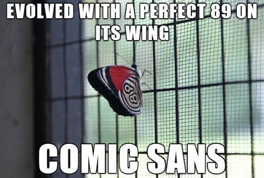 funny-butterfly-number-comic-sans