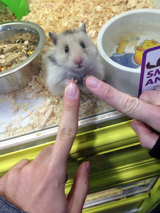 The Pact Has Been Sealed