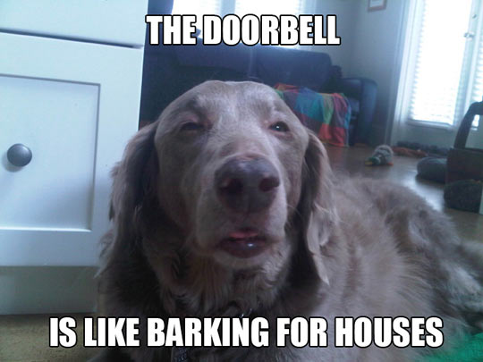 A Barkbell?