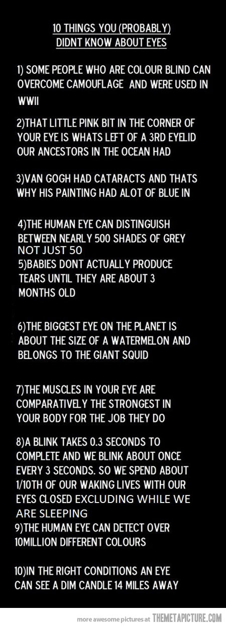 funny-eyes-facts-blink-color-blind
