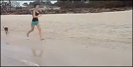 Just a normal day at the beach in Australia...