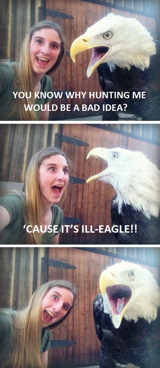 funny-girl-eagle-selfie-illegal-pun