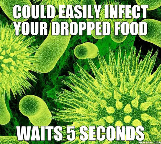 Good Guy Germs…