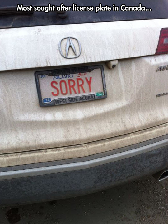 Perfect Husband’s License Plate