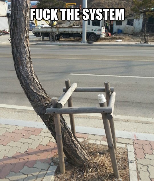 It’s An Anarchtree