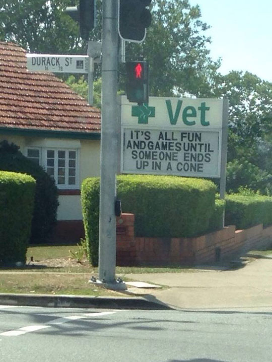 funny-veterinarian-sign-cone-street