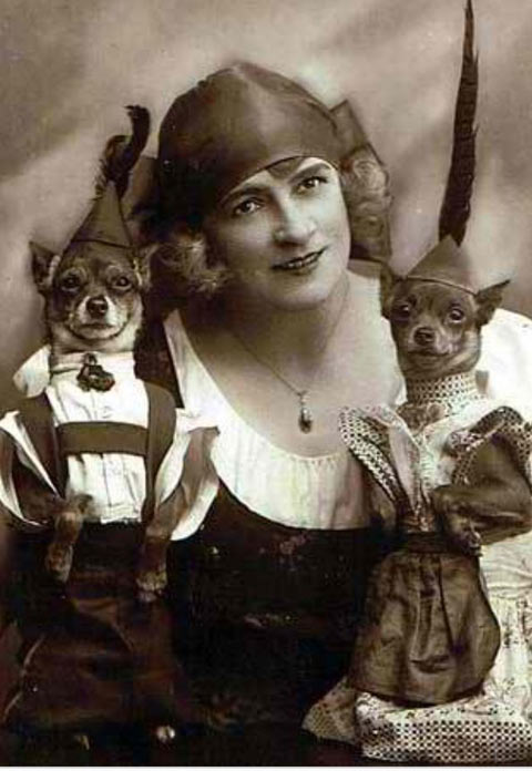 funny-vintage-picture-dogs-cute