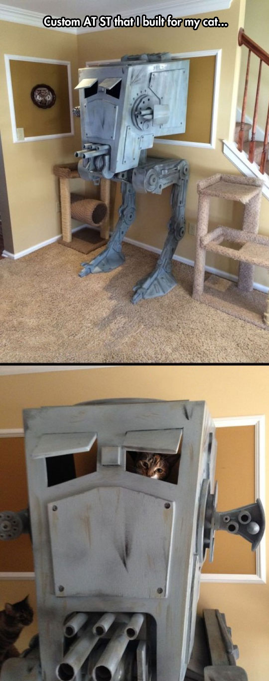 Cat Playhouse Level: Star Wars