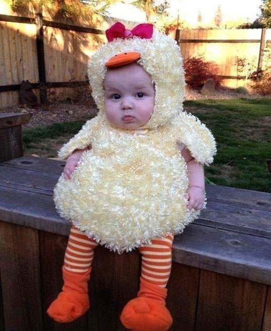cute-costume-baby-chicken