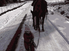 cute-gif-girl-horse-friend