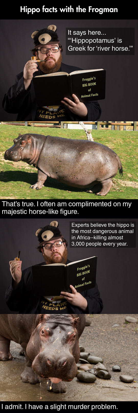 Fun Facts About Hippos