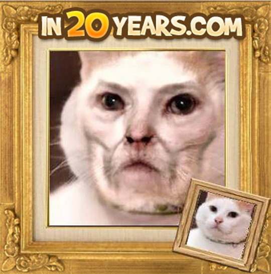 funny-In-20-Years-app-cat