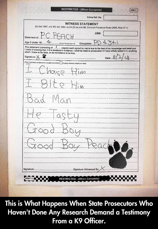 funny-K9-officer-witness-statement