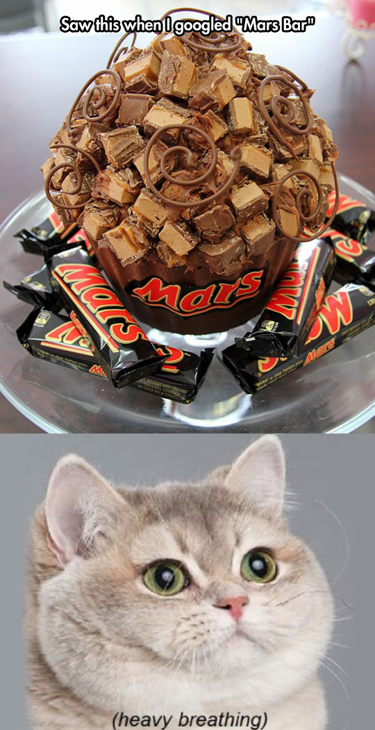 funny-Mars-bar-giant-cupcake-chocolate